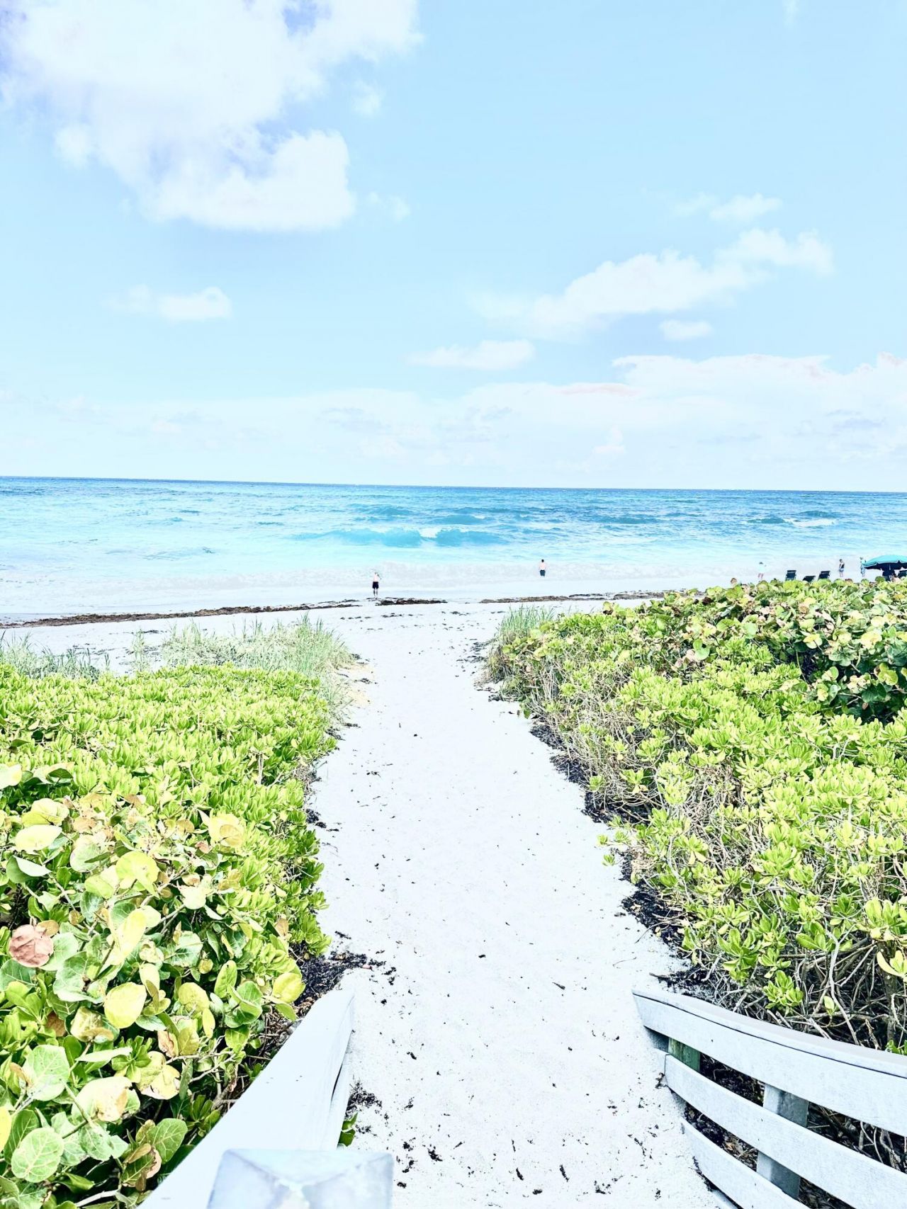420 Celestial Way, Unit 202, Juno Beach, FL 33408 Photo