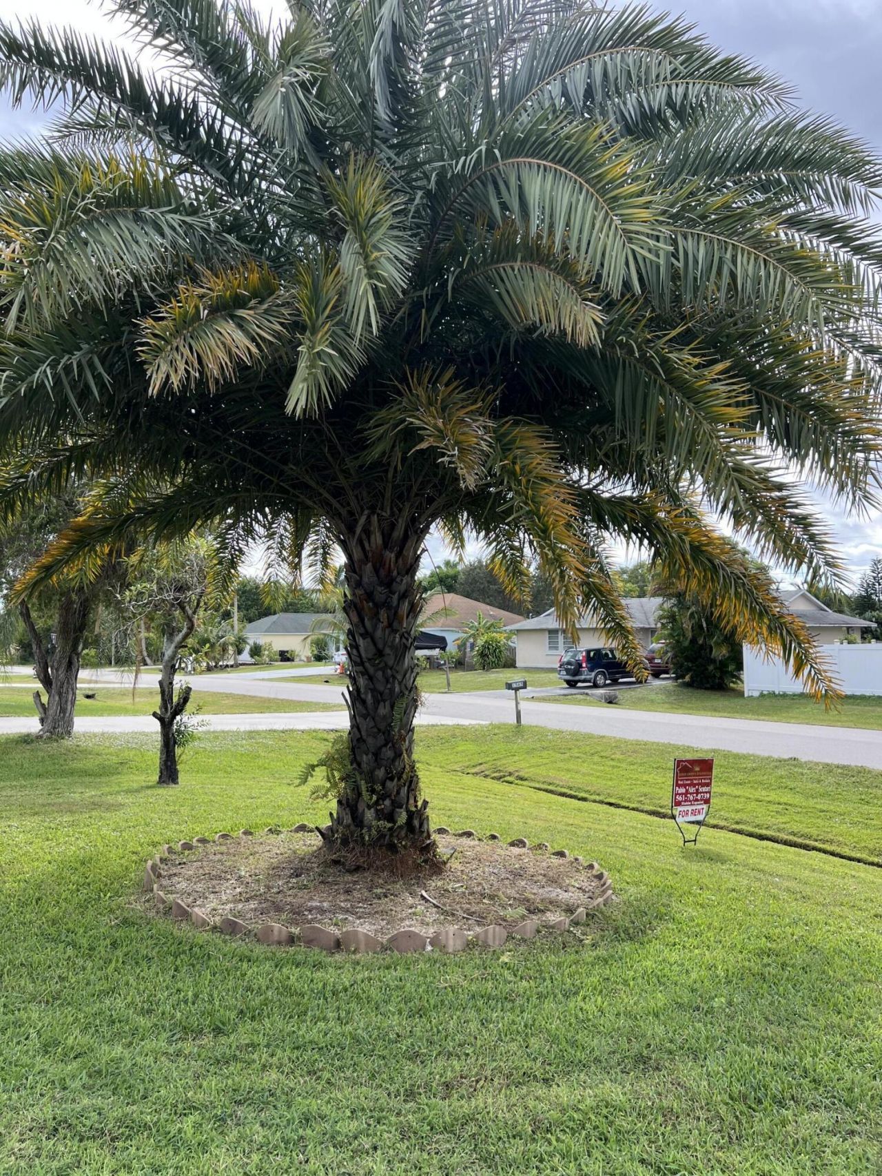 1561 SE Appamattox Terrace, Port Saint Lucie, FL 34952 Photo