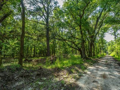 0 Geneva Shaw Lane, Wadmalaw Island, SC 29487