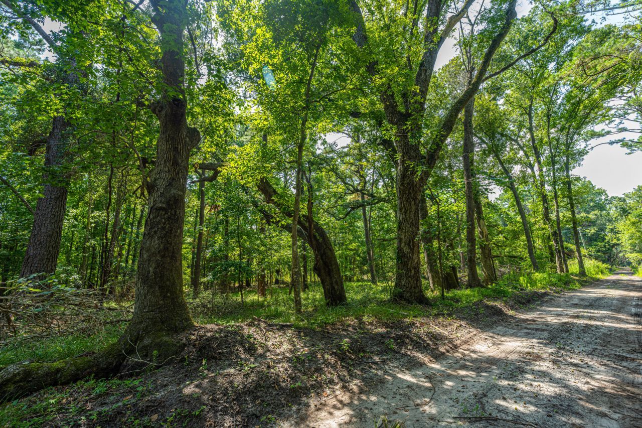 0 Geneva Shaw Lane Photo 2