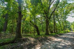 0 Geneva Shaw Lane photo 4