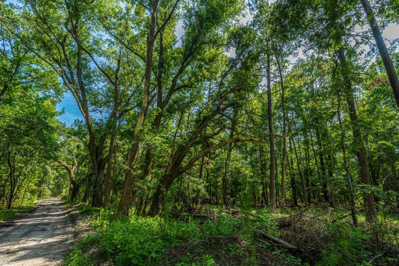 0 Geneva Shaw Lane Photo 3