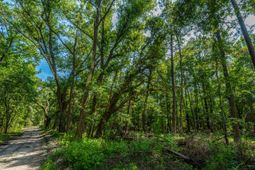 0 Geneva Shaw Lane photo 4