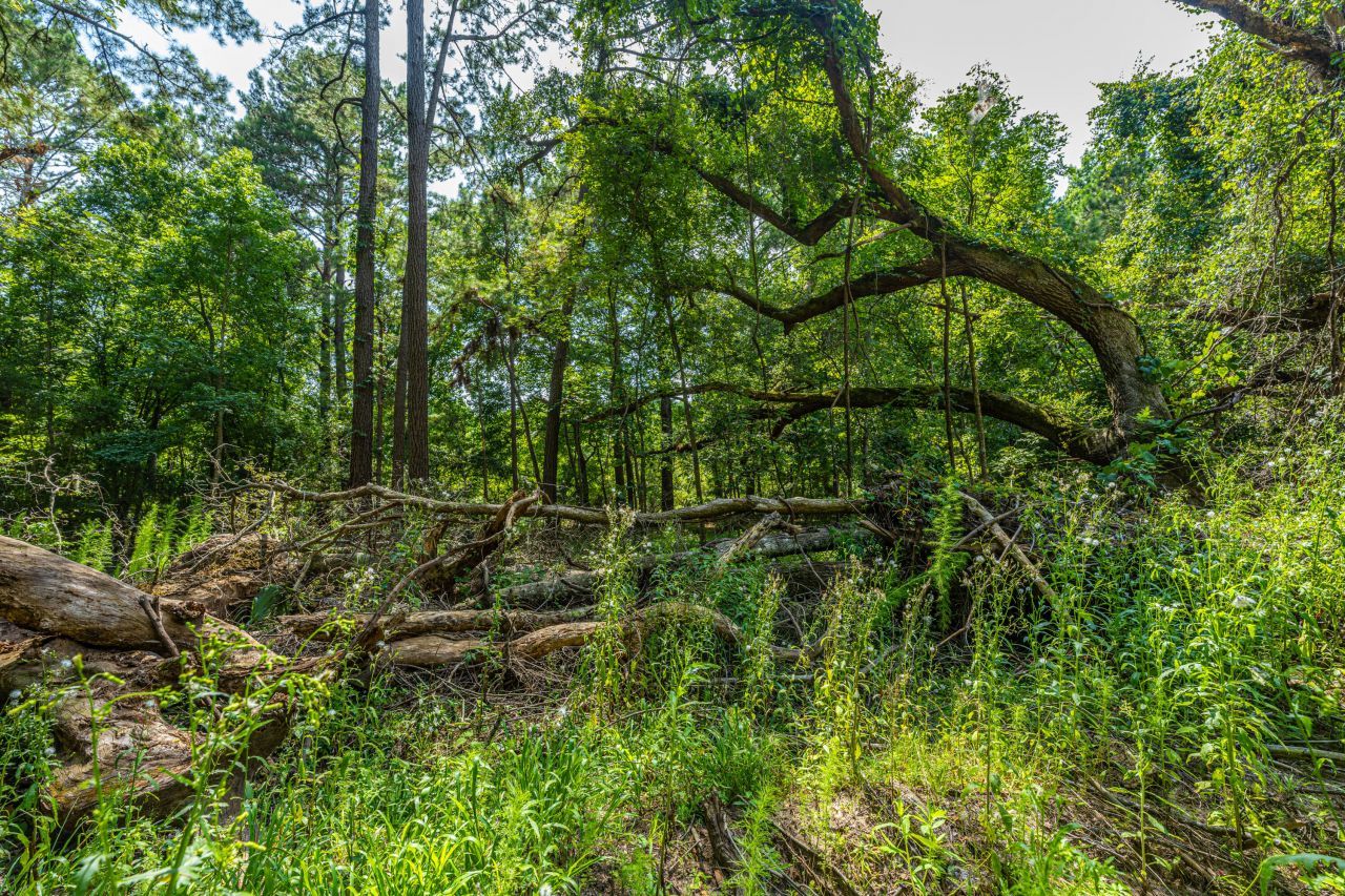 0 Geneva Shaw Lane Photo 4