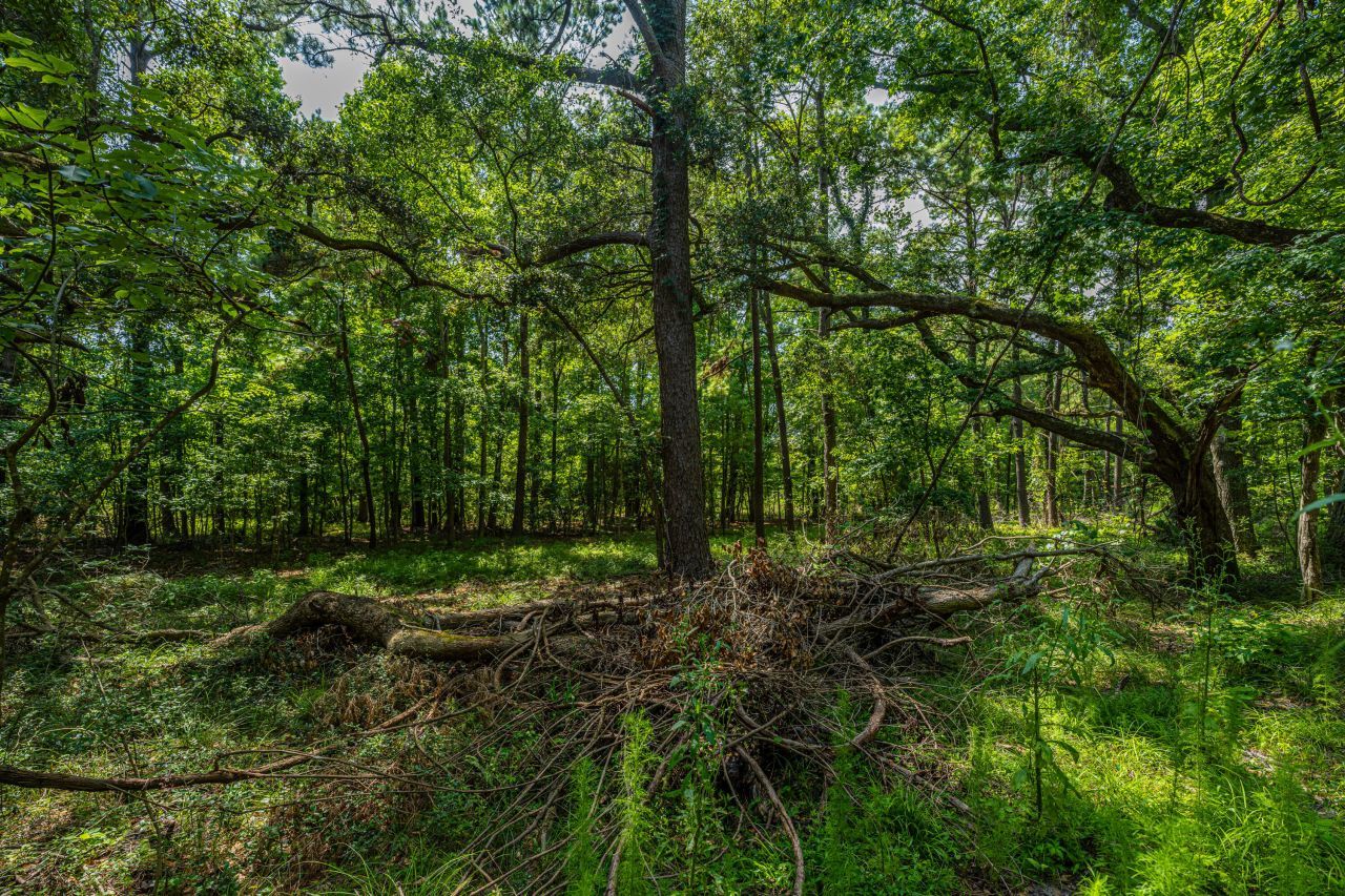 0 Geneva Shaw Lane Photo 5