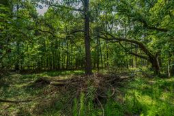 0 Geneva Shaw Lane photo 4