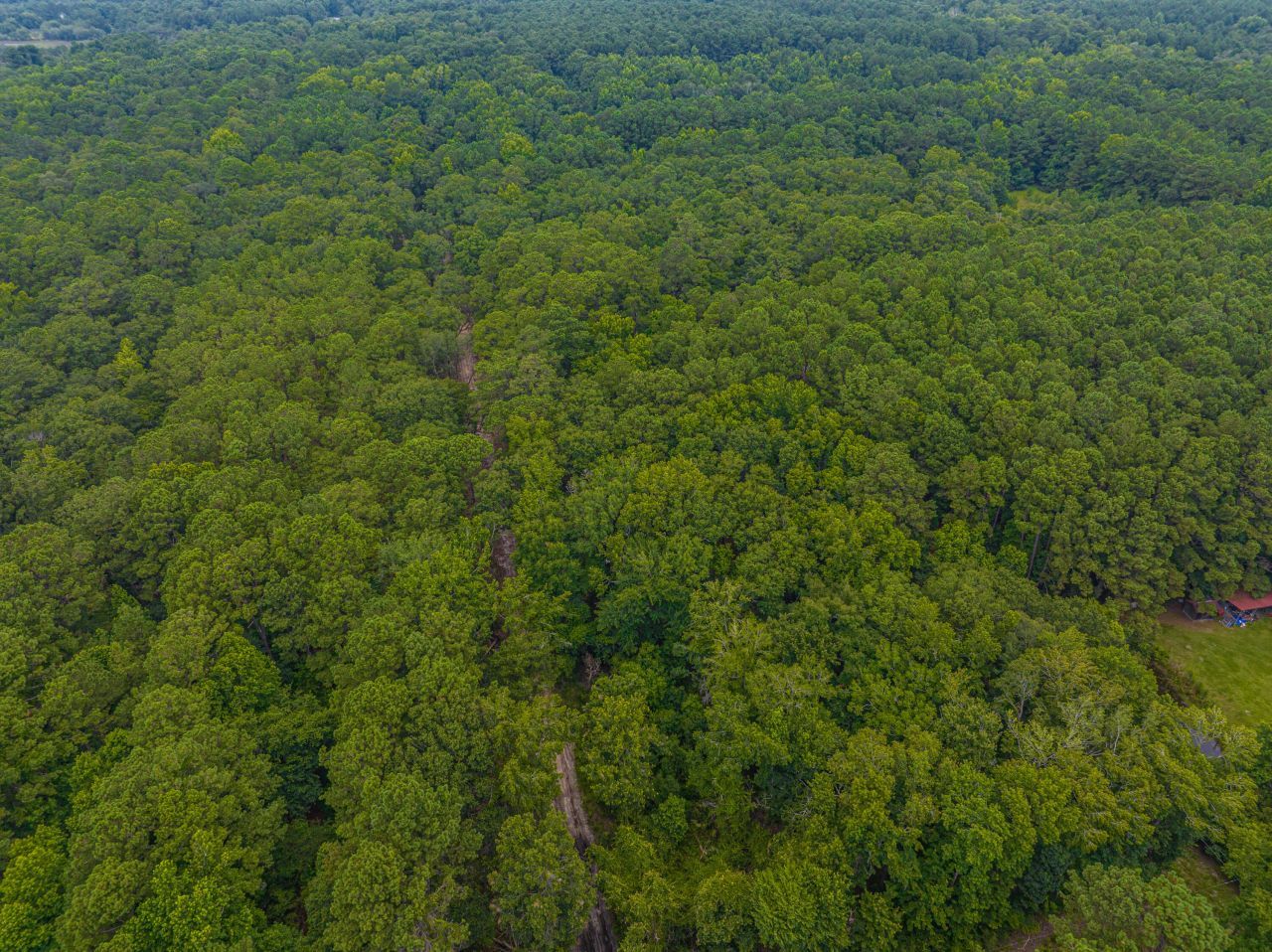 0 Geneva Shaw Lane Photo 6