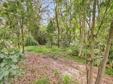 3200 Becerra Way, Sacramento, CA 95821 Photo