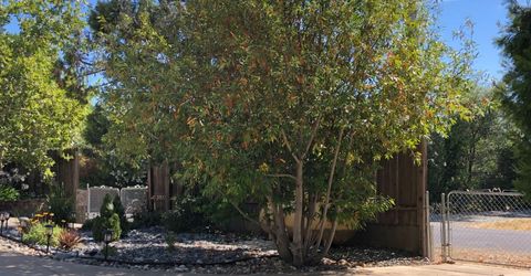 18594 Poplar, Plymouth, CA 95669 Photo