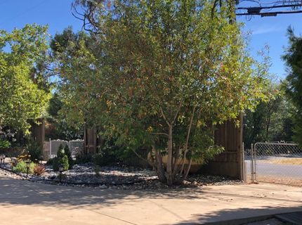 18594 Poplar, Plymouth, CA 95669 Photo