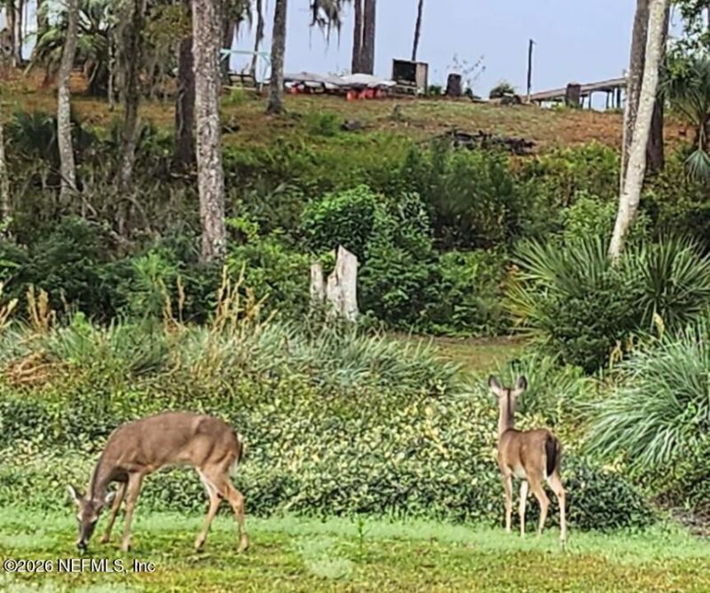 749 N State Road 21, Melrose, FL 32666 Photo