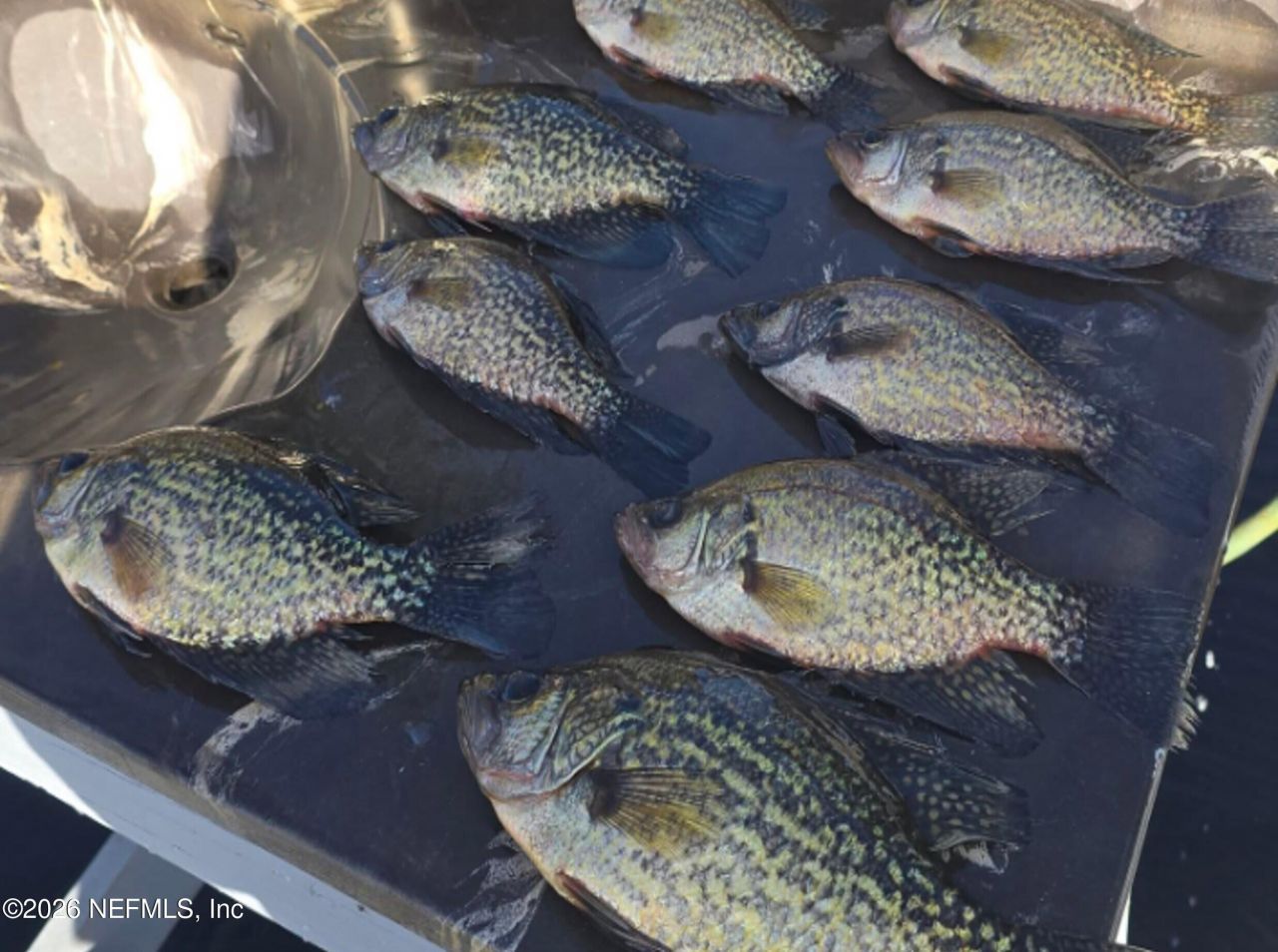 749 N State Road 21, Melrose, FL 32666 Photo