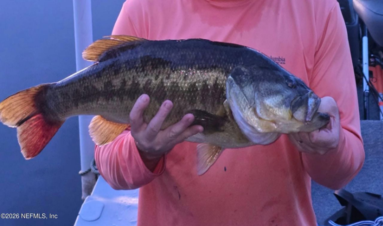 749 N State Road 21, Melrose, FL 32666 Photo