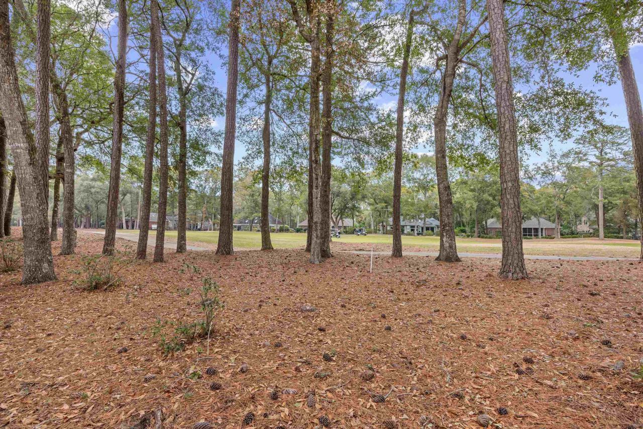 146 Stillwood Dr. Photo 33