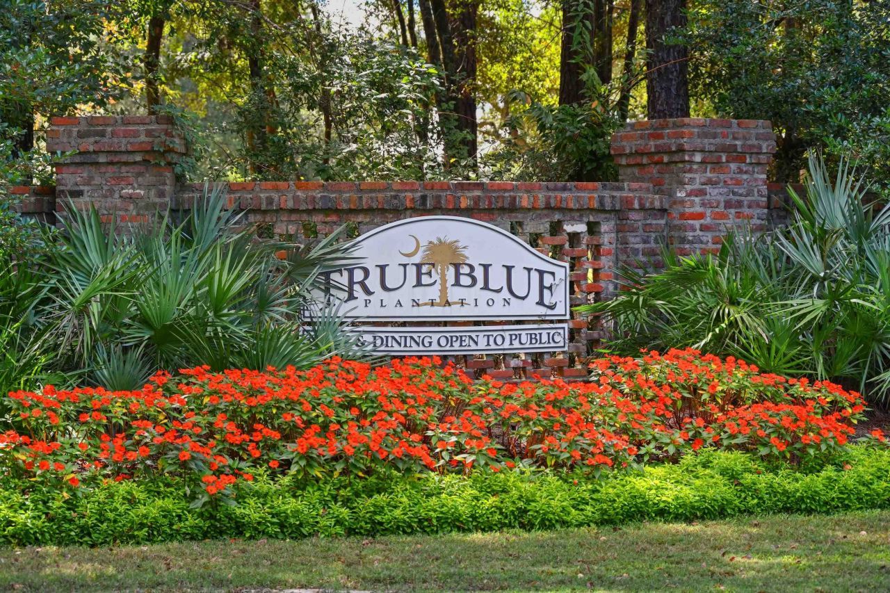 971 Blue Stem Dr. Photo 25