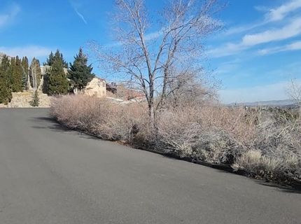 0 Martini Road, Sparks, NV 89436 Photo