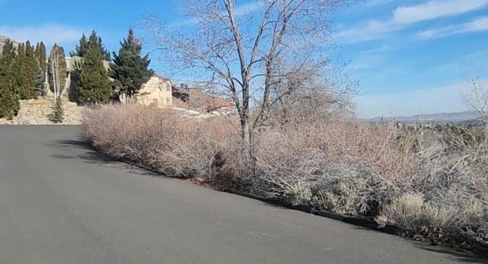 0 Martini Road, Sparks, NV 89436 Photo