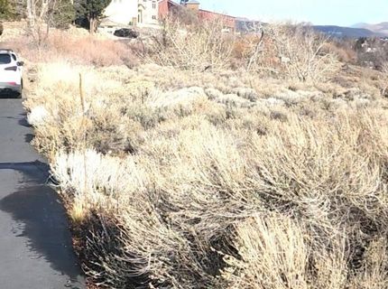 0 Martini Road, Sparks, NV 89436 Photo