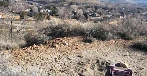 0 Martini Road, Sparks, NV 89436 Photo