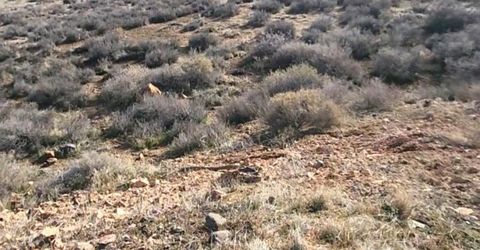 0 Martini Road, Sparks, NV 89436 Photo