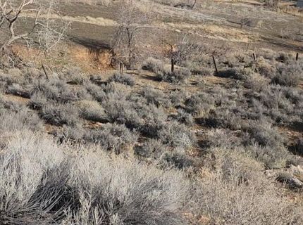 0 Martini Road, Sparks, NV 89436 Photo