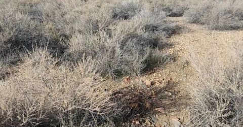 0 Martini Road, Sparks, NV 89436 Photo