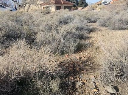 0 Martini Road, Sparks, NV 89436 Photo