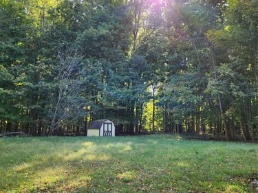 15973 Walnut Street, Buchanan Township, Mi 49107