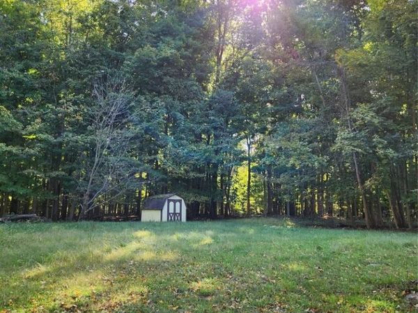 15973 Walnut Street, Buchanan Twp, MI 49107