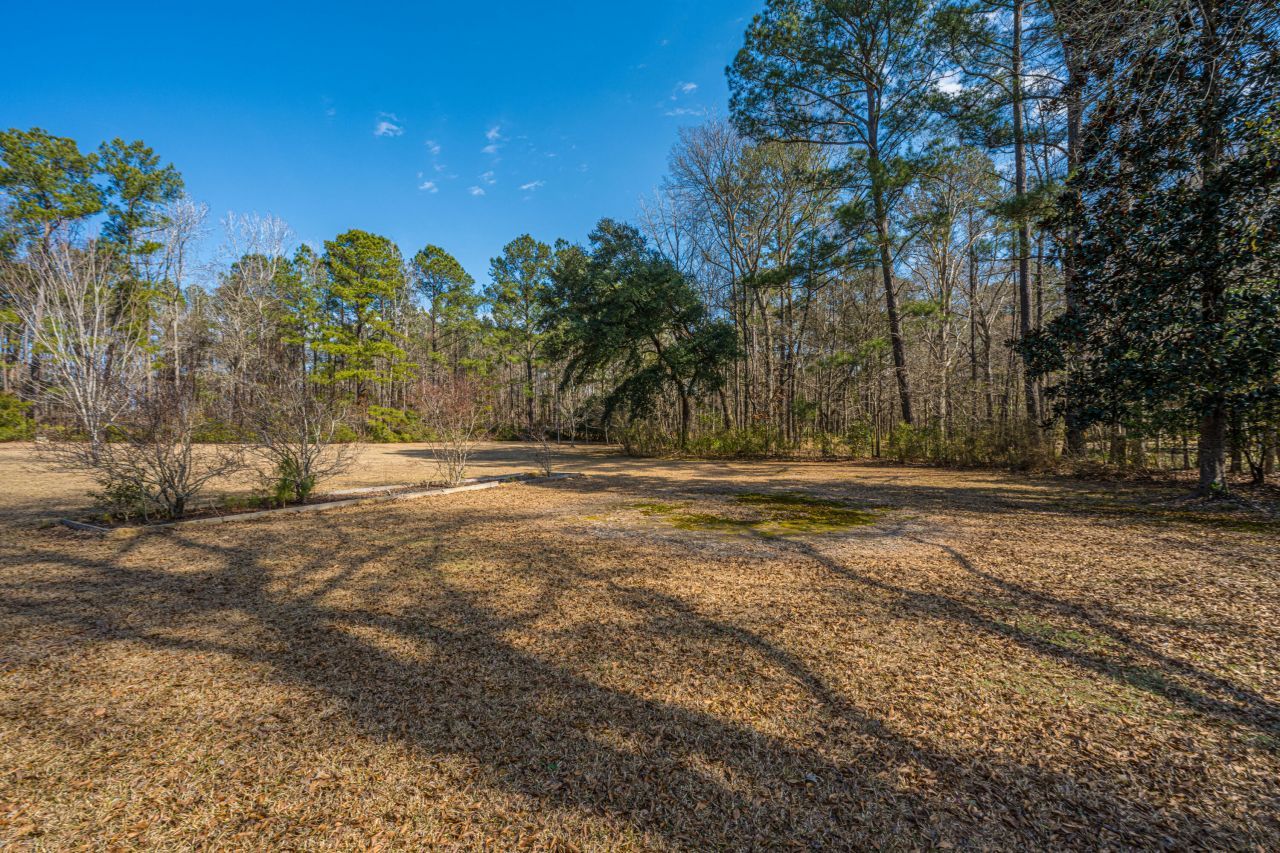 200 Duxback Lane Photo 49