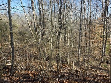 0 S KY 1651, Unit Parcel 122, Revelo, KY 42638