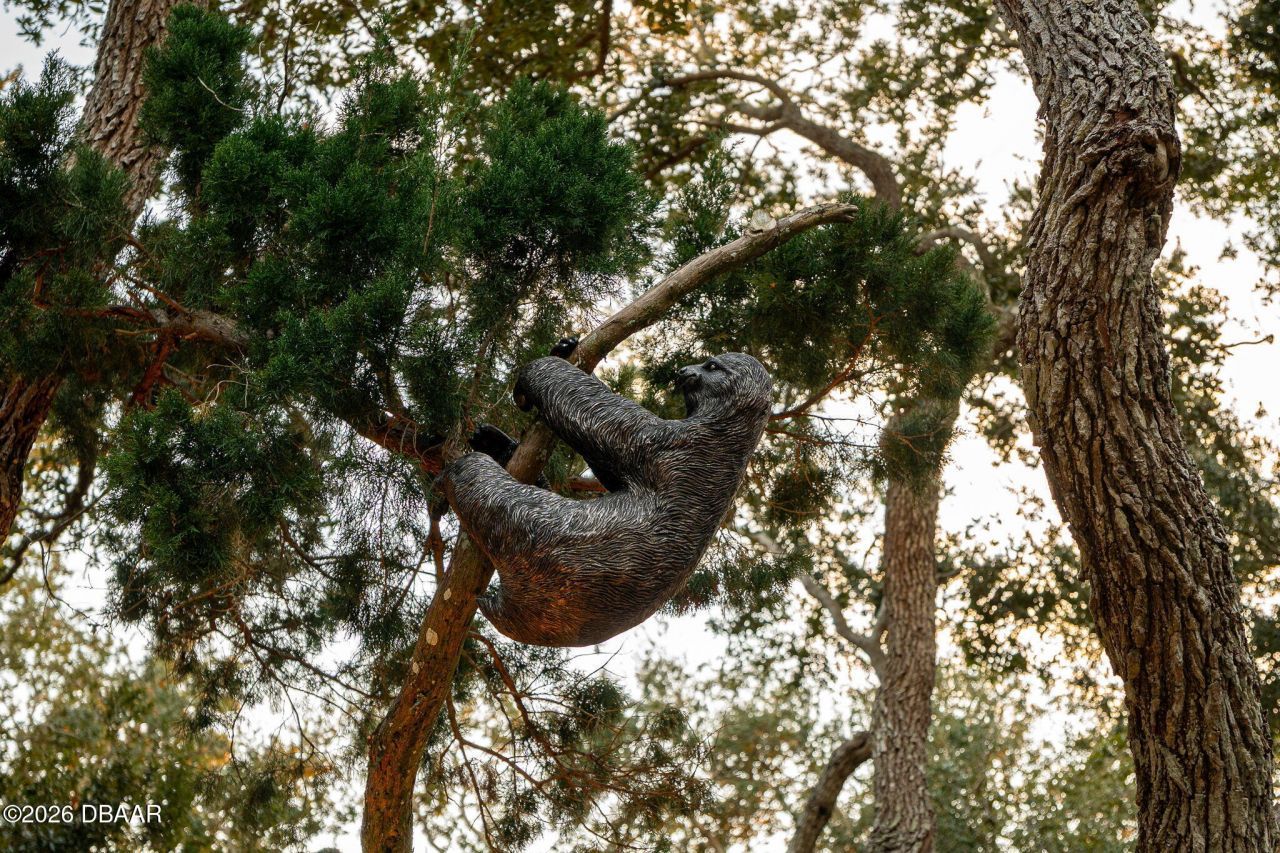 4828 S Peninsula Drive, Ponce Inlet, FL 32127 Photo