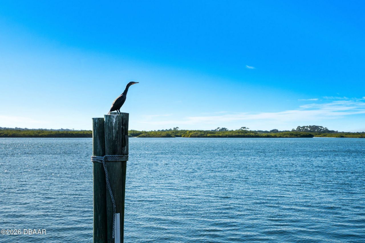 4828 S Peninsula Drive, Ponce Inlet, FL 32127 Photo