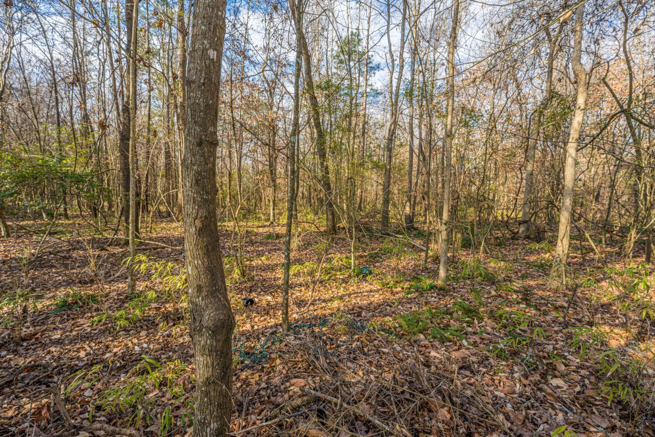126 Sarmiento Lane Photo 37