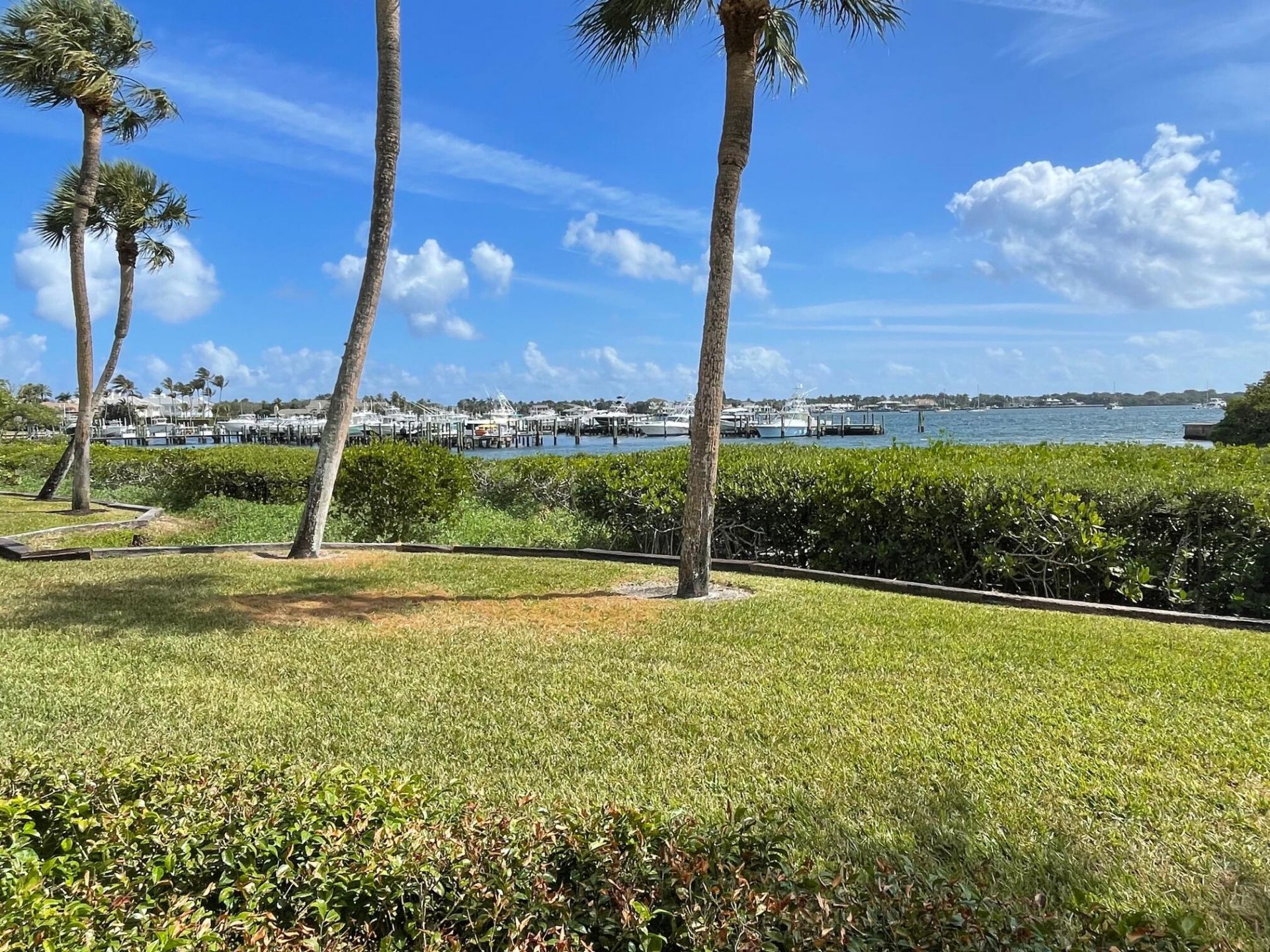 1660 Twelve Oaks Way, Unit 106 & 50 F, North Palm Beach, FL 33408 Photo