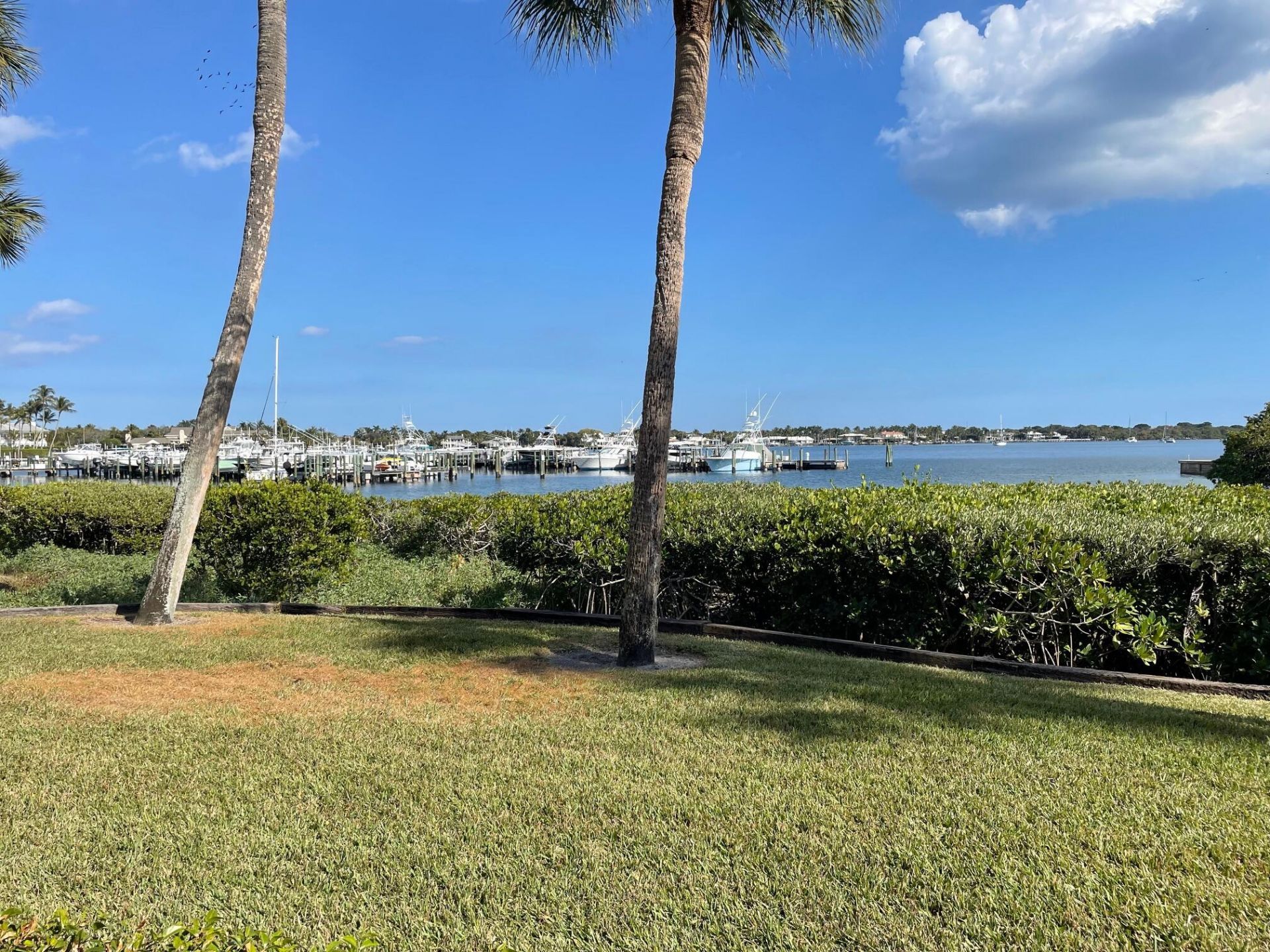 1660 Twelve Oaks Way, Unit 106 &, North Palm Beach, FL 33408 Photo