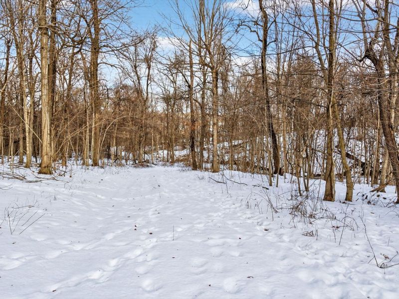 0 Township Road 55, Unit 45.38, Bellefontaine, OH 43311 Photo 14