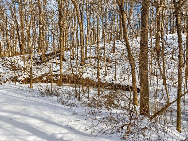 0 Township Road 55, Unit 45.38, Bellefontaine, OH 43311 Photo 16