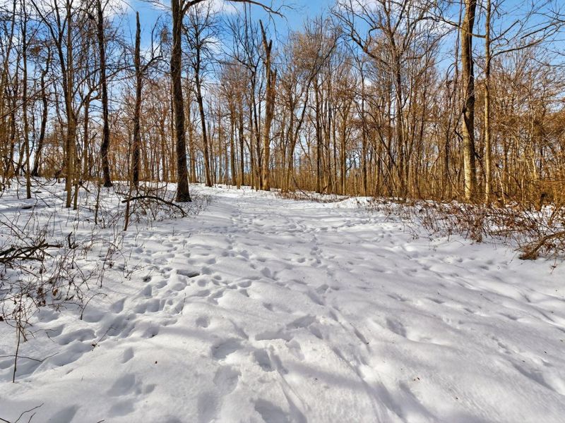 0 Township Road 55, Unit 45.38, Bellefontaine, OH 43311 Photo 18