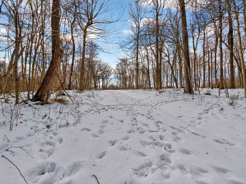 0 Township Road 55, Unit 45.38, Bellefontaine, OH 43311 Photo 19