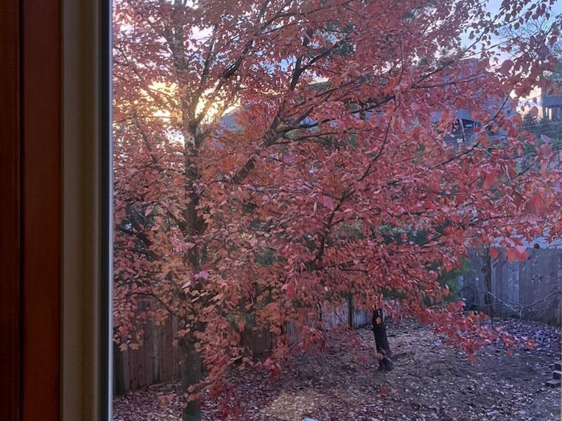 1005 Parkside Place, Cincinnati, OH 45202 Photo 51