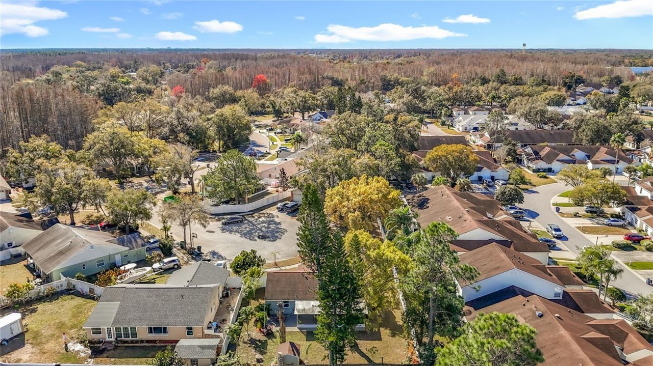 21515 Curlew Court, Lutz, FL 33549 Photo