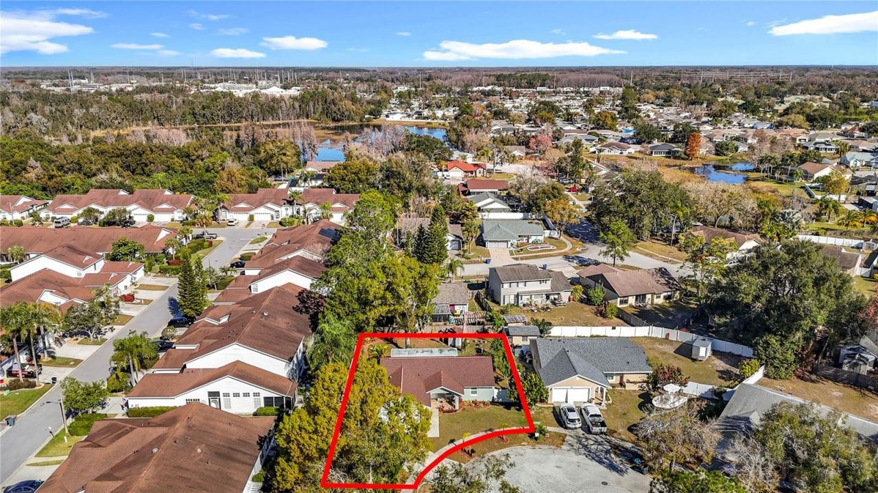 21515 Curlew Court, Lutz, FL 33549 Photo