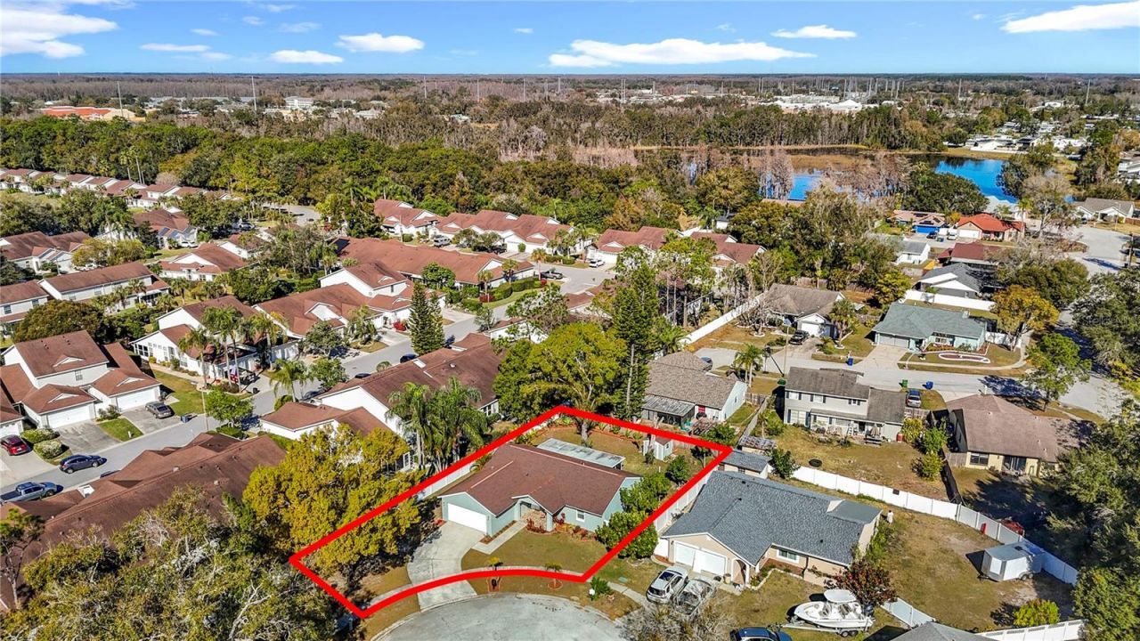 21515 Curlew Court, Lutz, FL 33549 Photo