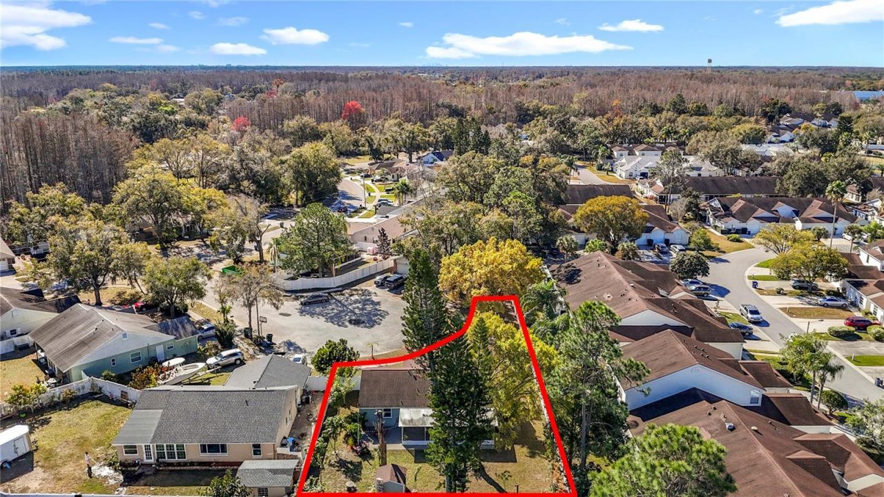 21515 Curlew Court, Lutz, FL 33549 Photo