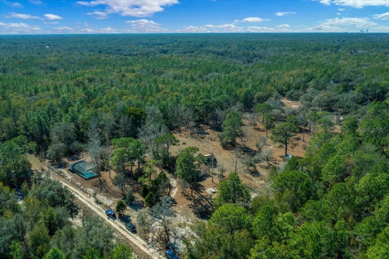 9520 N Holyoak Terrace, Dunnellon, FL 34433 Photo