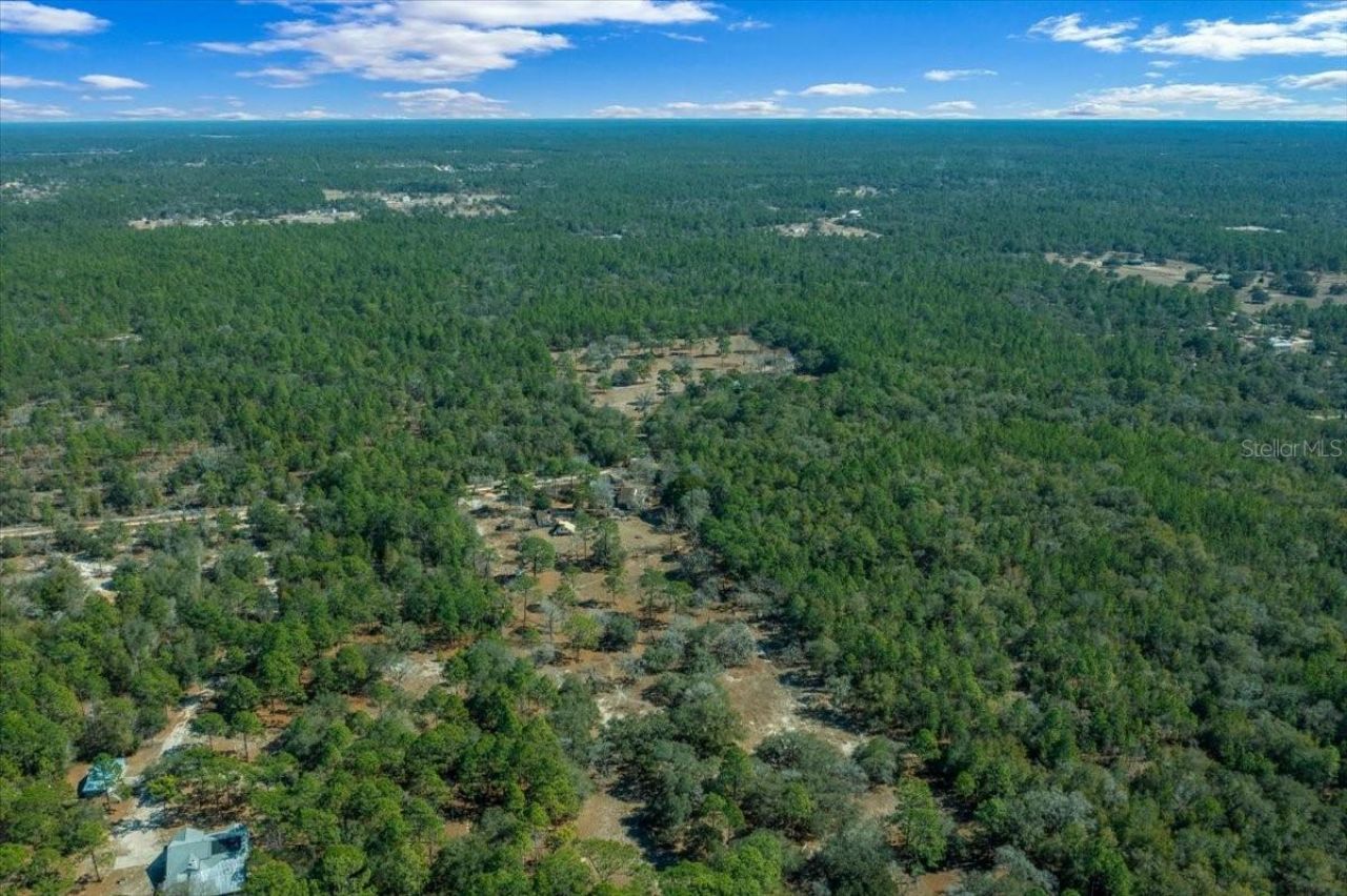 9520 N Holyoak Terrace, Dunnellon, FL 34433 Photo