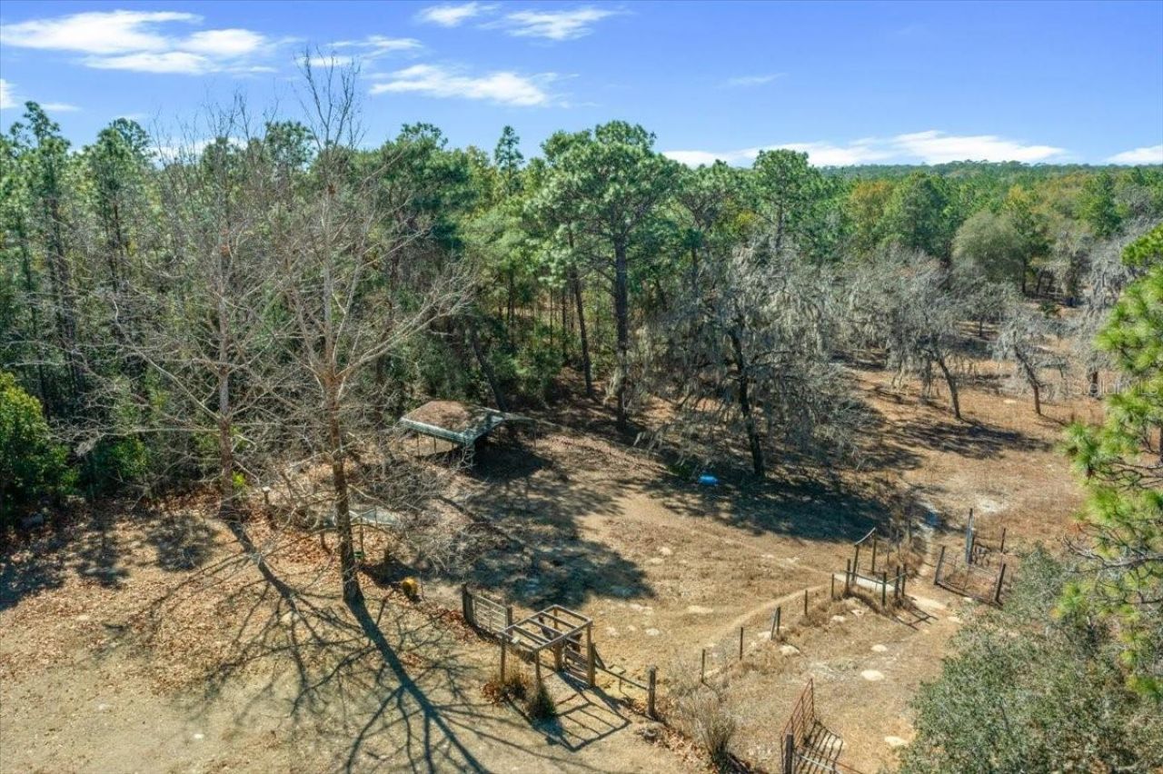 9520 N Holyoak Terrace, Dunnellon, FL 34433 Photo