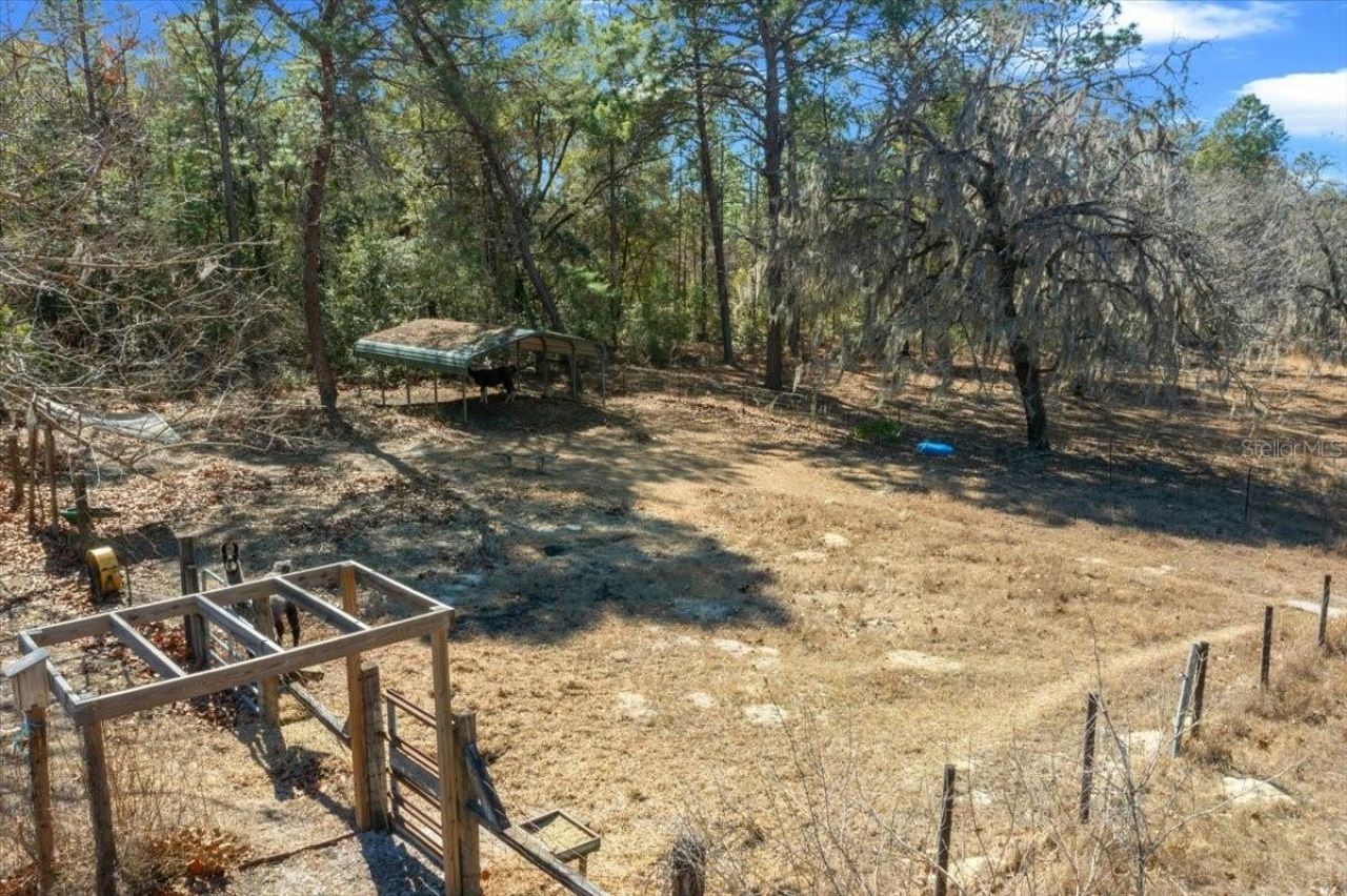 9520 N Holyoak Terrace, Dunnellon, FL 34433 Photo