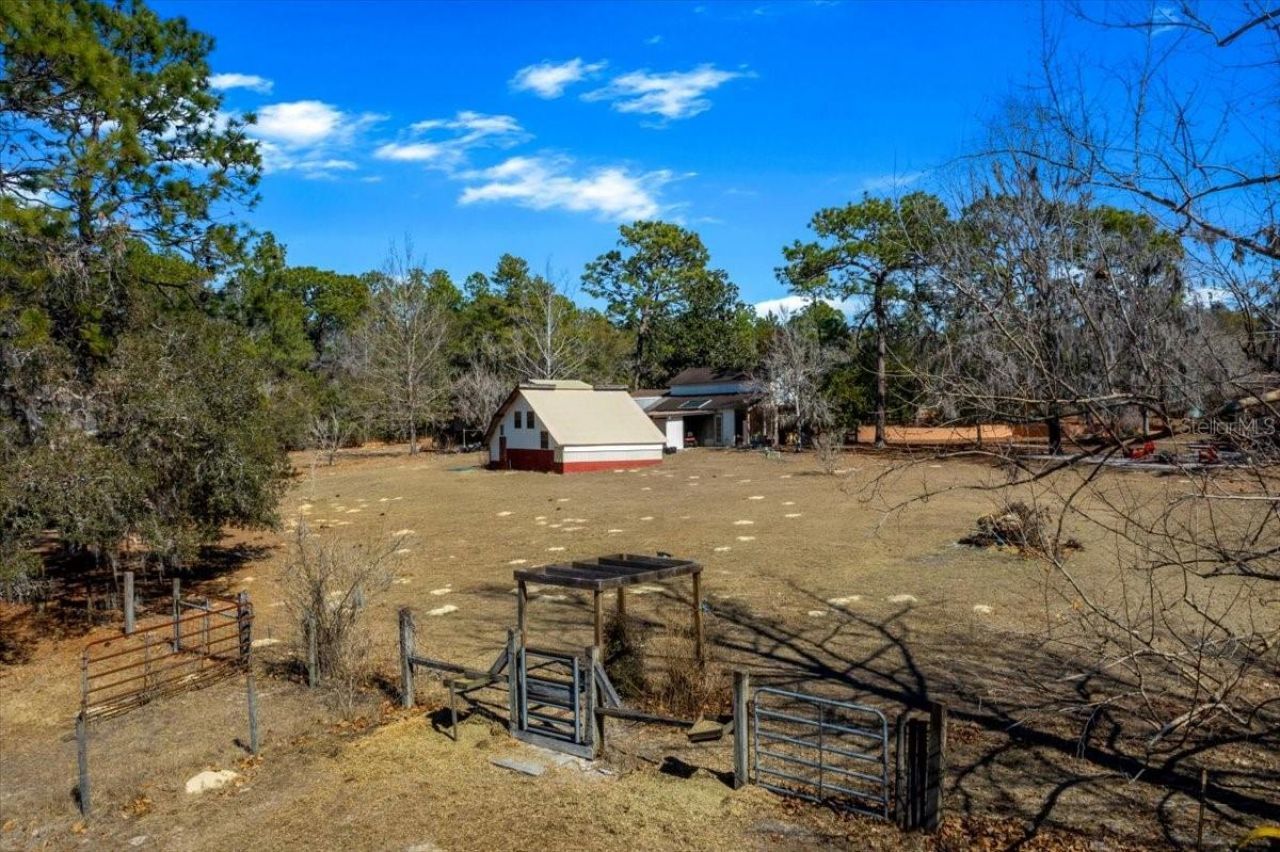 9520 N Holyoak Terrace, Dunnellon, FL 34433 Photo